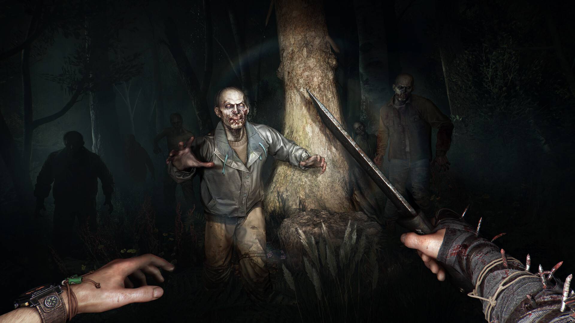 Gameplay-Szene aus dem Spiel Dying Light: The Beast.