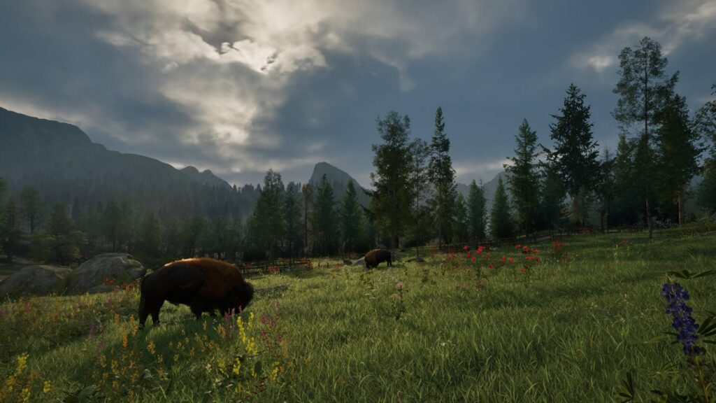 Ranger’s Path National Park Simulator Bisons grasen auf einer Wiese vor bewaldeten Bergen