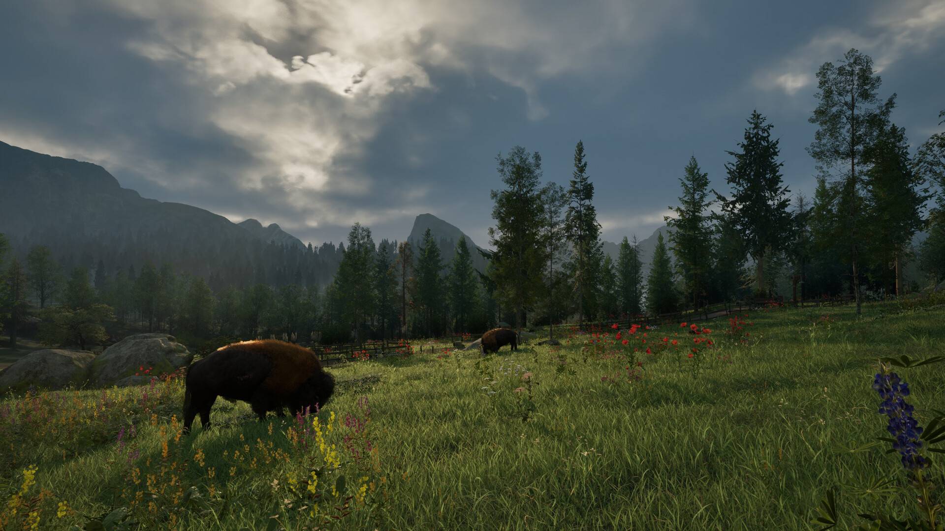 Ranger’s Path National Park Simulator Bisons grasen auf einer Wiese vor bewaldeten Bergen