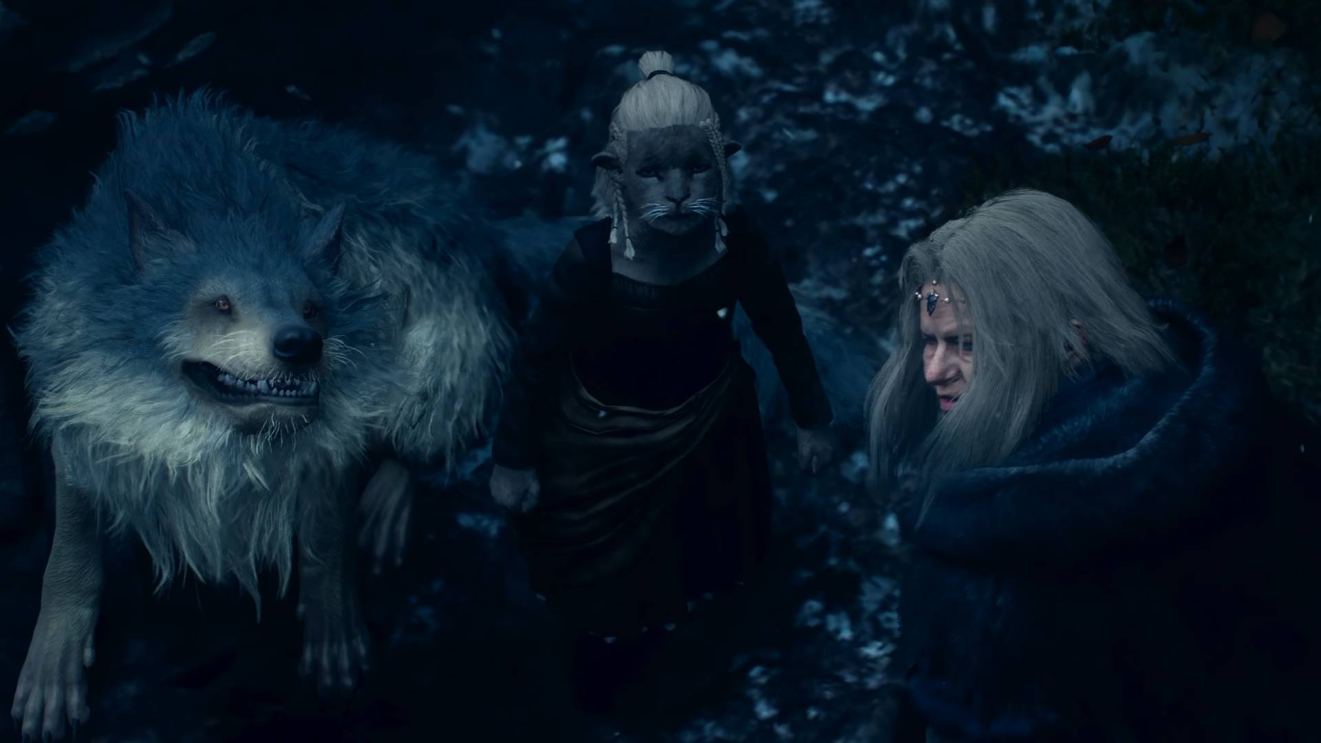 Dragon's Dogma 2 Dark Arisen großer grauer Wolf Freki neben zwei Figuren in Norgan