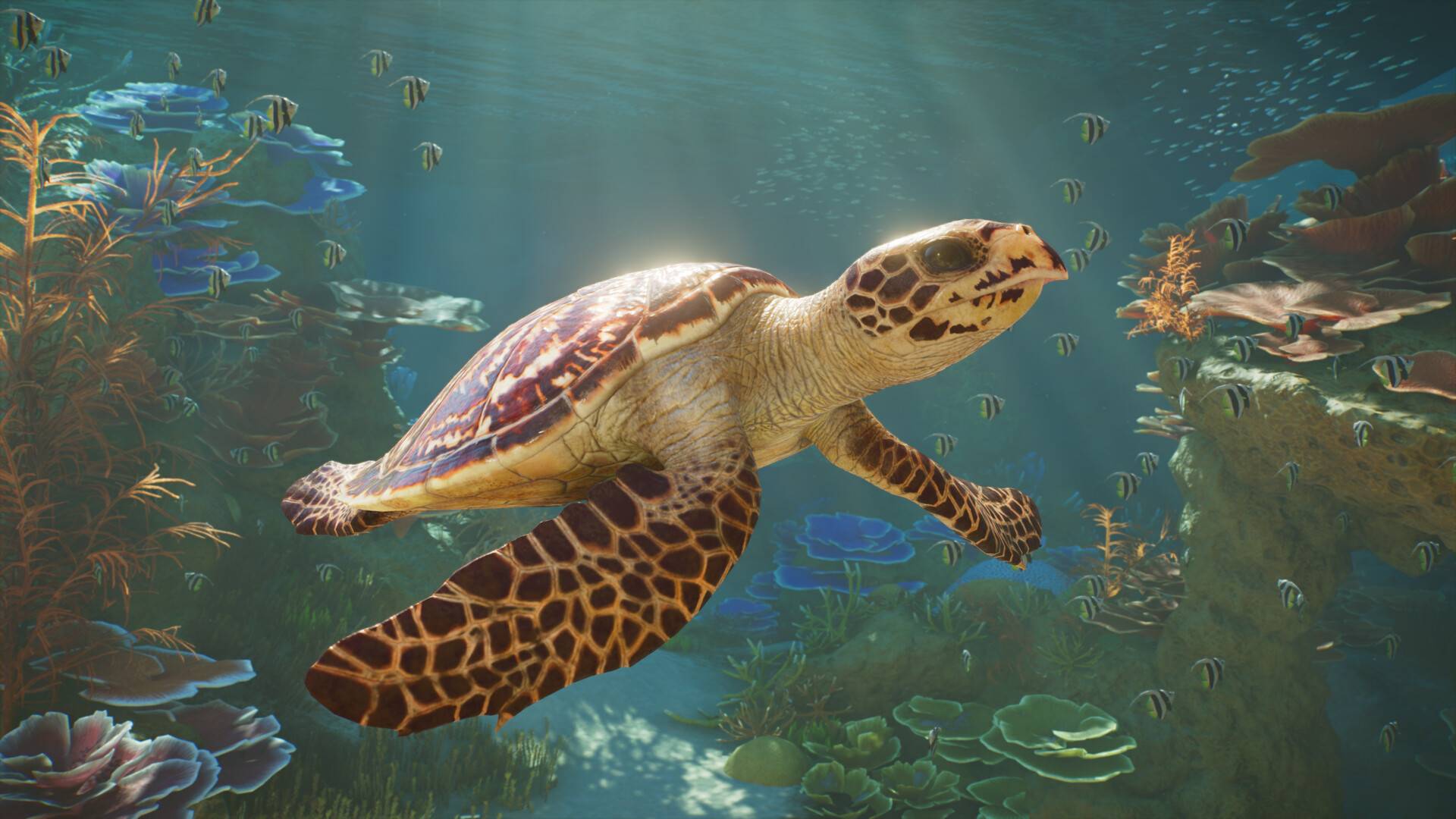 Planet Zoo 2: Meeresschildkröte schwimmt durch ein Aquarium mit Korallen und Fischen