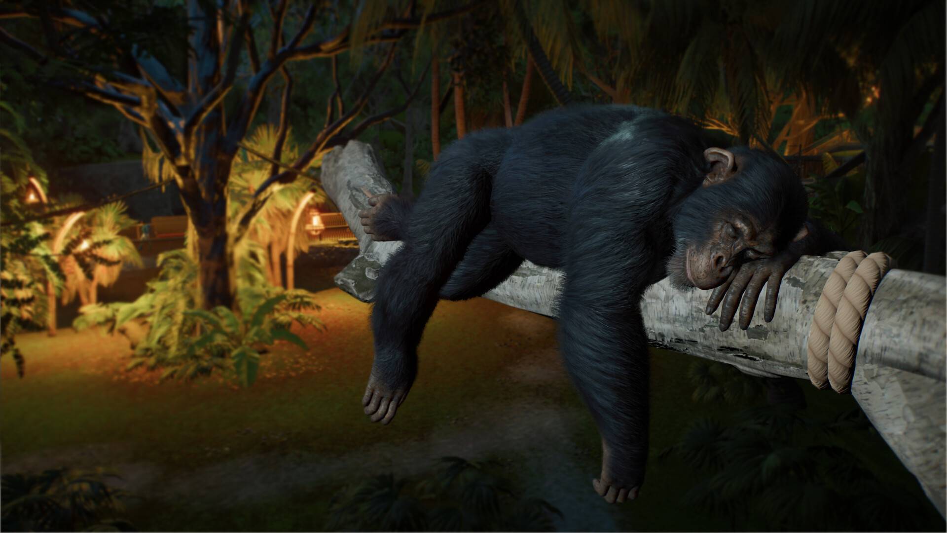 Schlafender Schimpanse in Planet Zoo 2